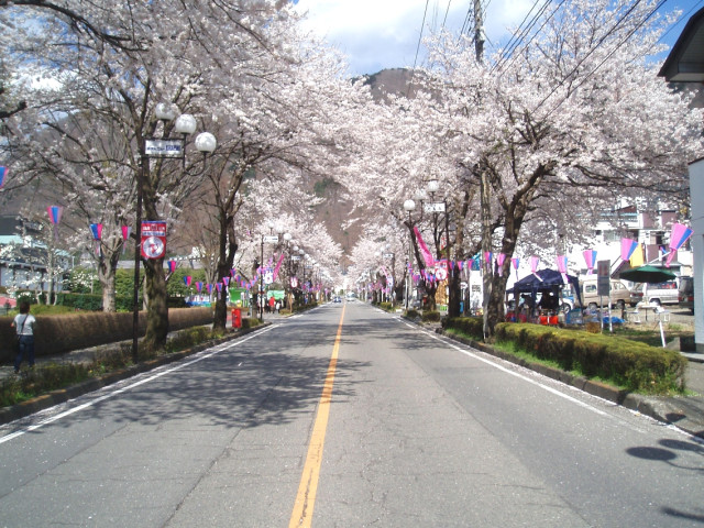 鬼怒川温泉桜並木通り